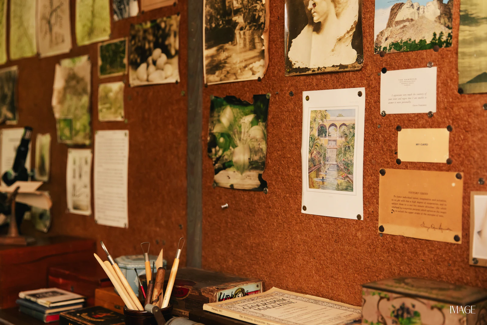 Impact Edition at The Kampong, Miami — Events photography by IMAGE MIAMI — photo 43 of 159