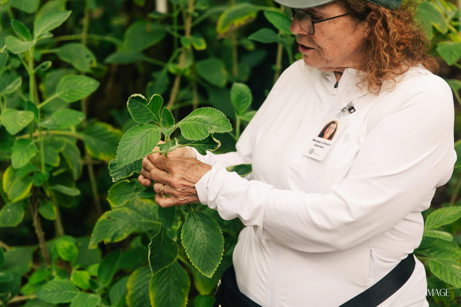 Impact Edition at The Kampong, Miami — Events photography by IMAGE MIAMI — photo 82 of 159