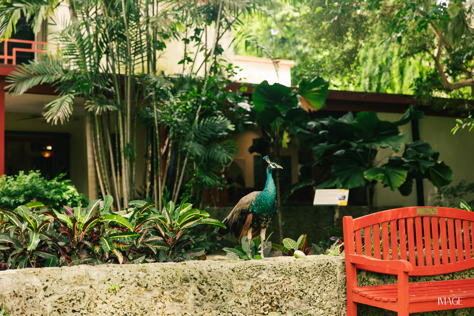 Impact Edition at The Kampong, Miami — Events photography by IMAGE MIAMI — photo 35 of 159