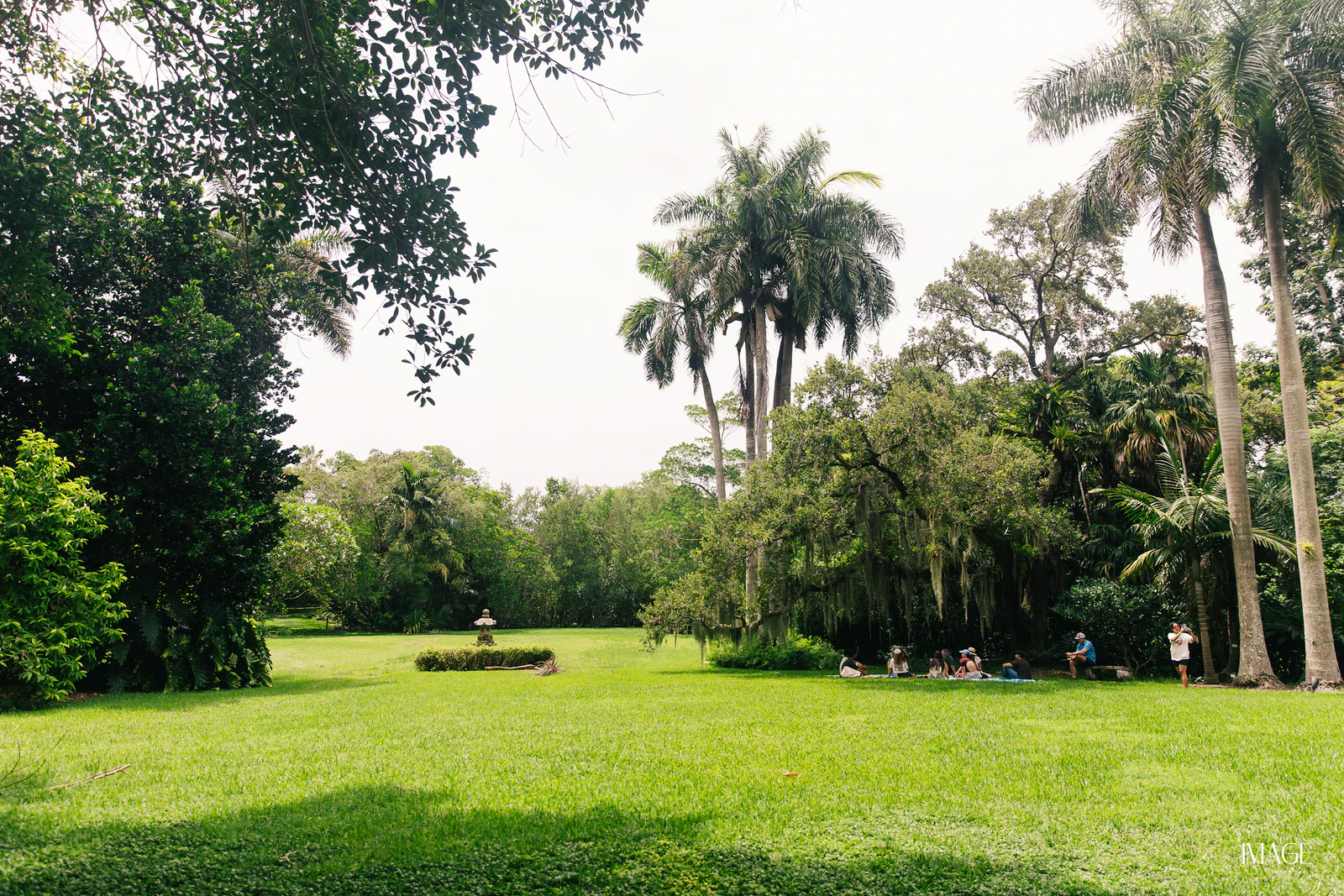 Impact Edition at The Kampong, Miami — Events photography by IMAGE MIAMI — photo 54 of 159