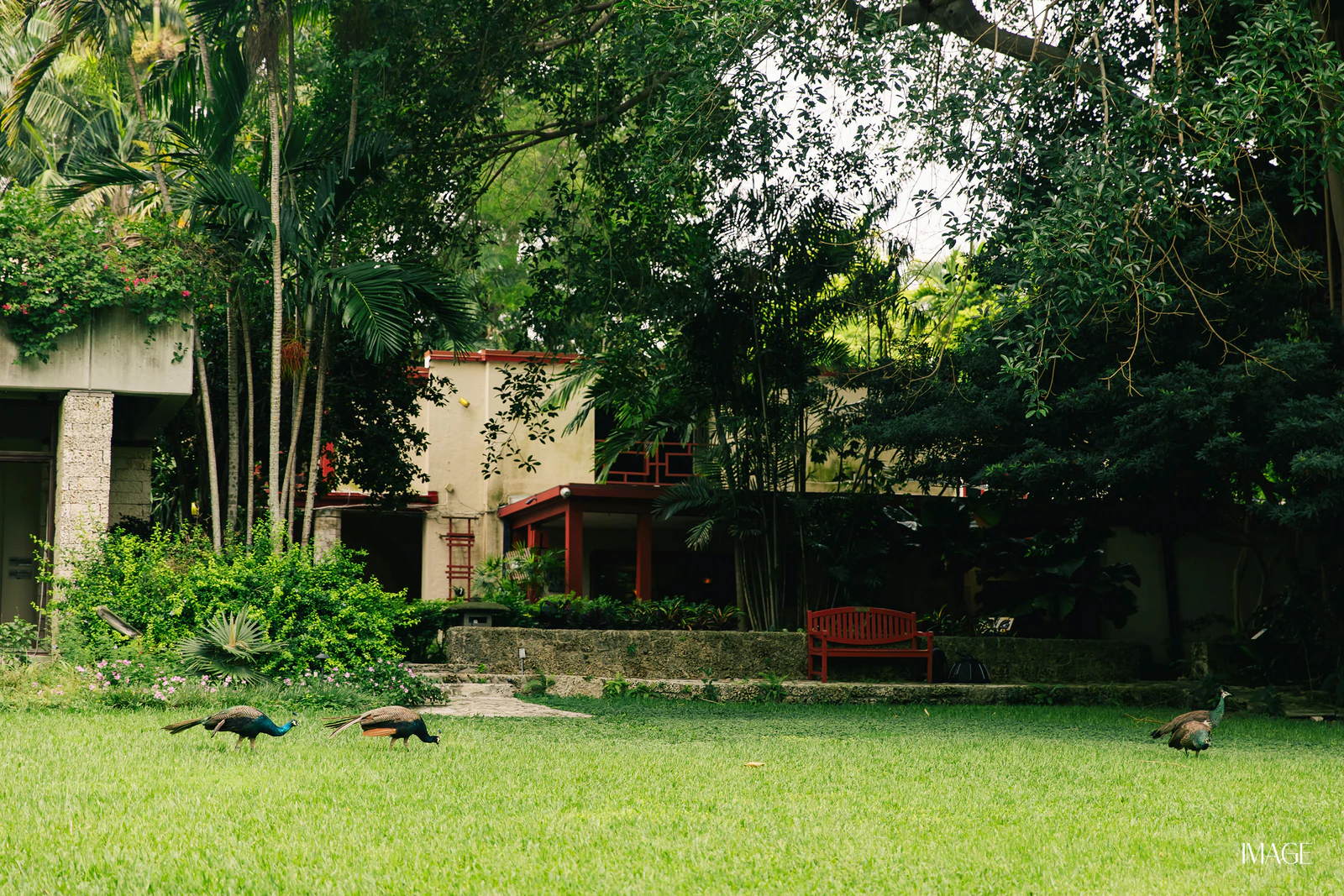 Impact Edition at The Kampong, Miami — Events photography by IMAGE MIAMI — photo 56 of 159