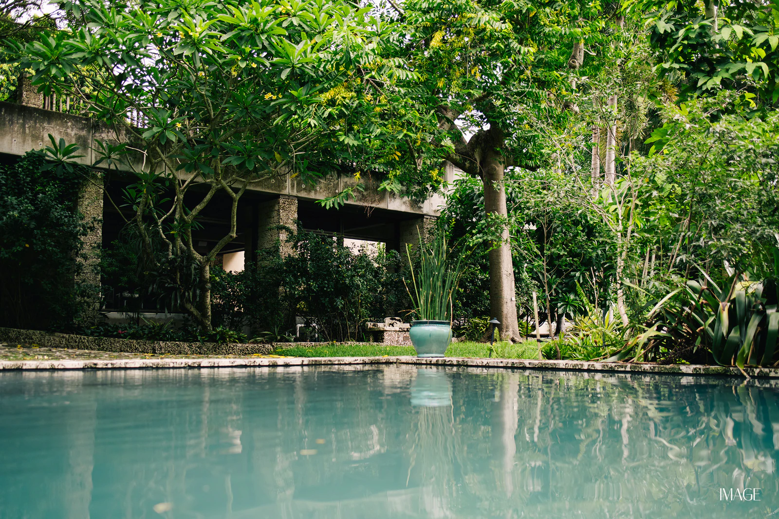 Impact Edition at The Kampong, Miami — Events photography by IMAGE MIAMI — photo 39 of 159