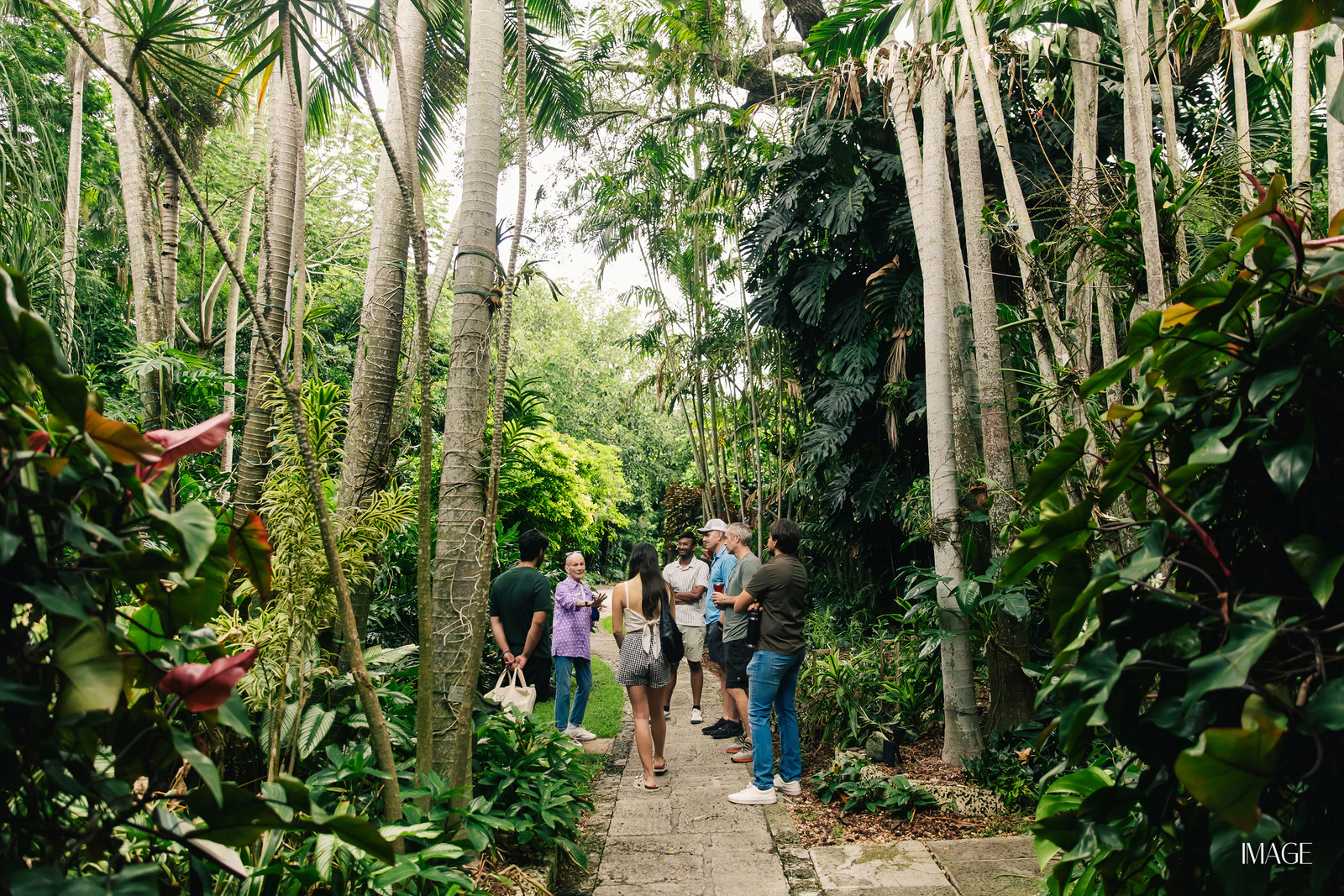 Impact Edition at The Kampong, Miami — Events photography by IMAGE MIAMI — photo 90 of 159