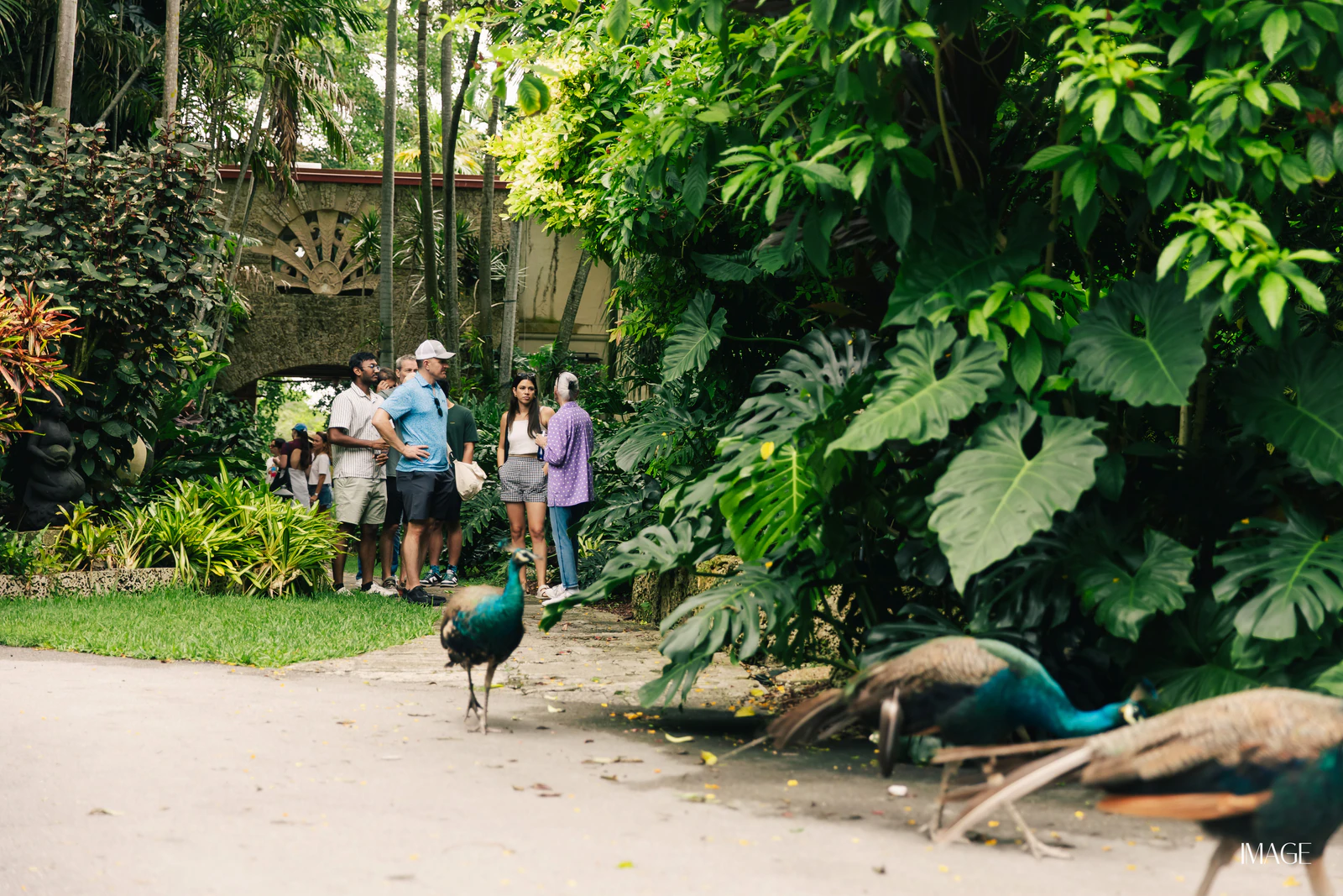 Impact Edition at The Kampong, Miami — Events photography by IMAGE MIAMI — photo 75 of 159