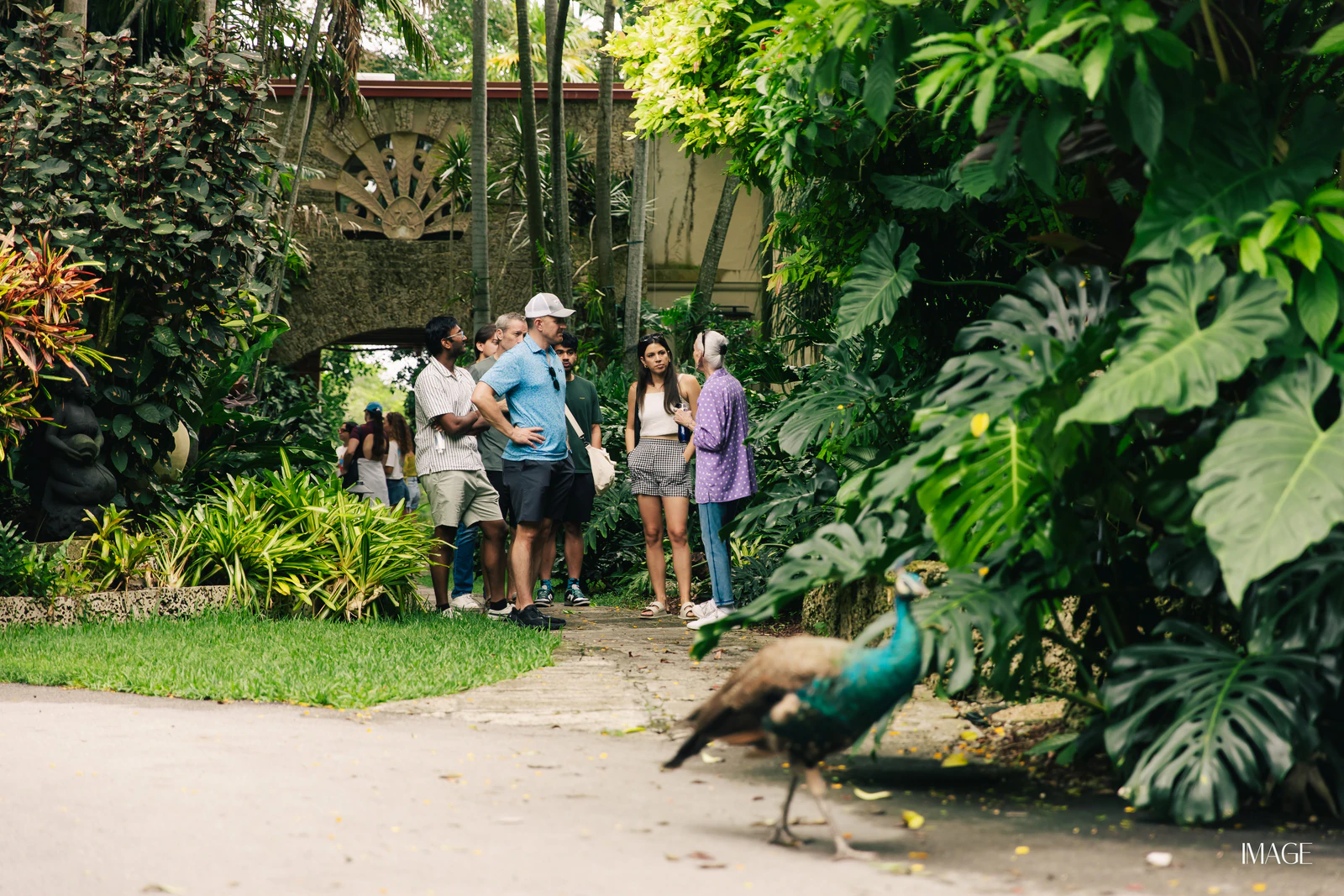 Impact Edition at The Kampong, Miami — Events photography by IMAGE MIAMI — photo 18 of 159