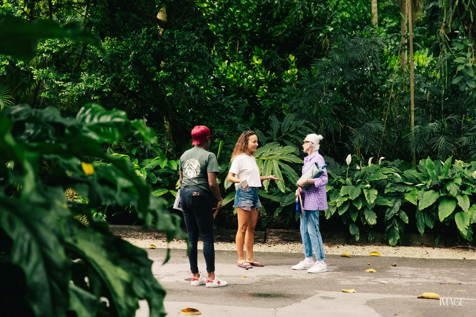 Impact Edition at The Kampong, Miami — Events photography by IMAGE MIAMI — photo 112 of 159