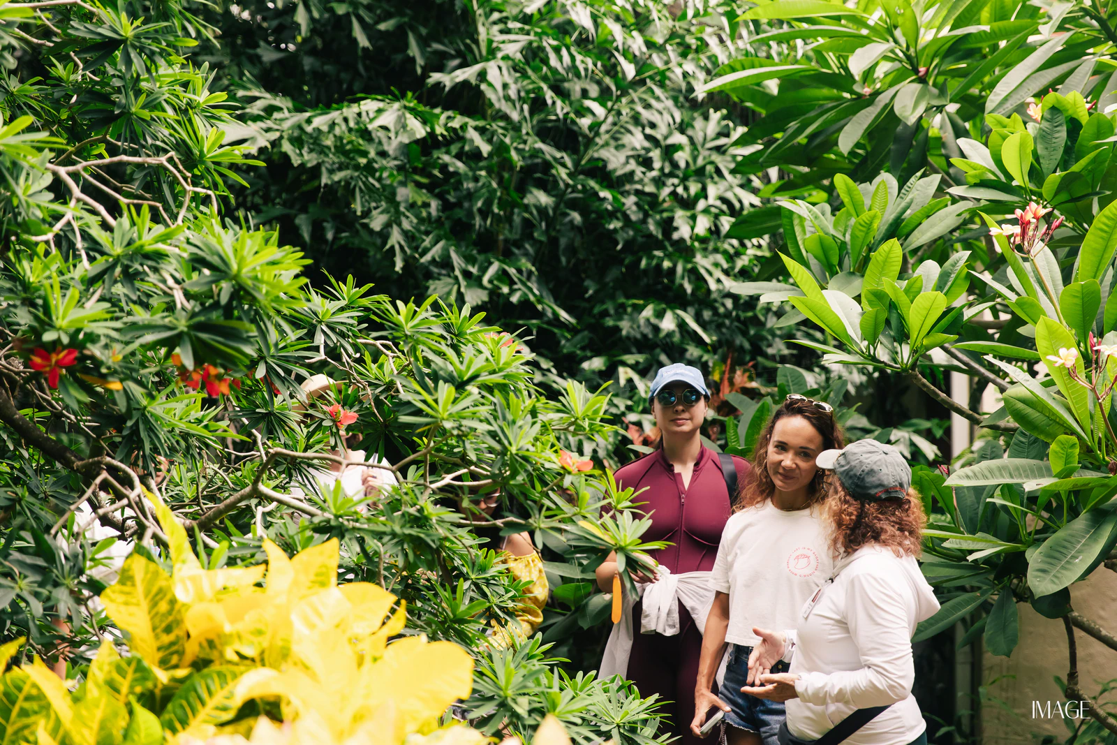 Impact Edition at The Kampong, Miami — Events photography by IMAGE MIAMI — photo 51 of 159