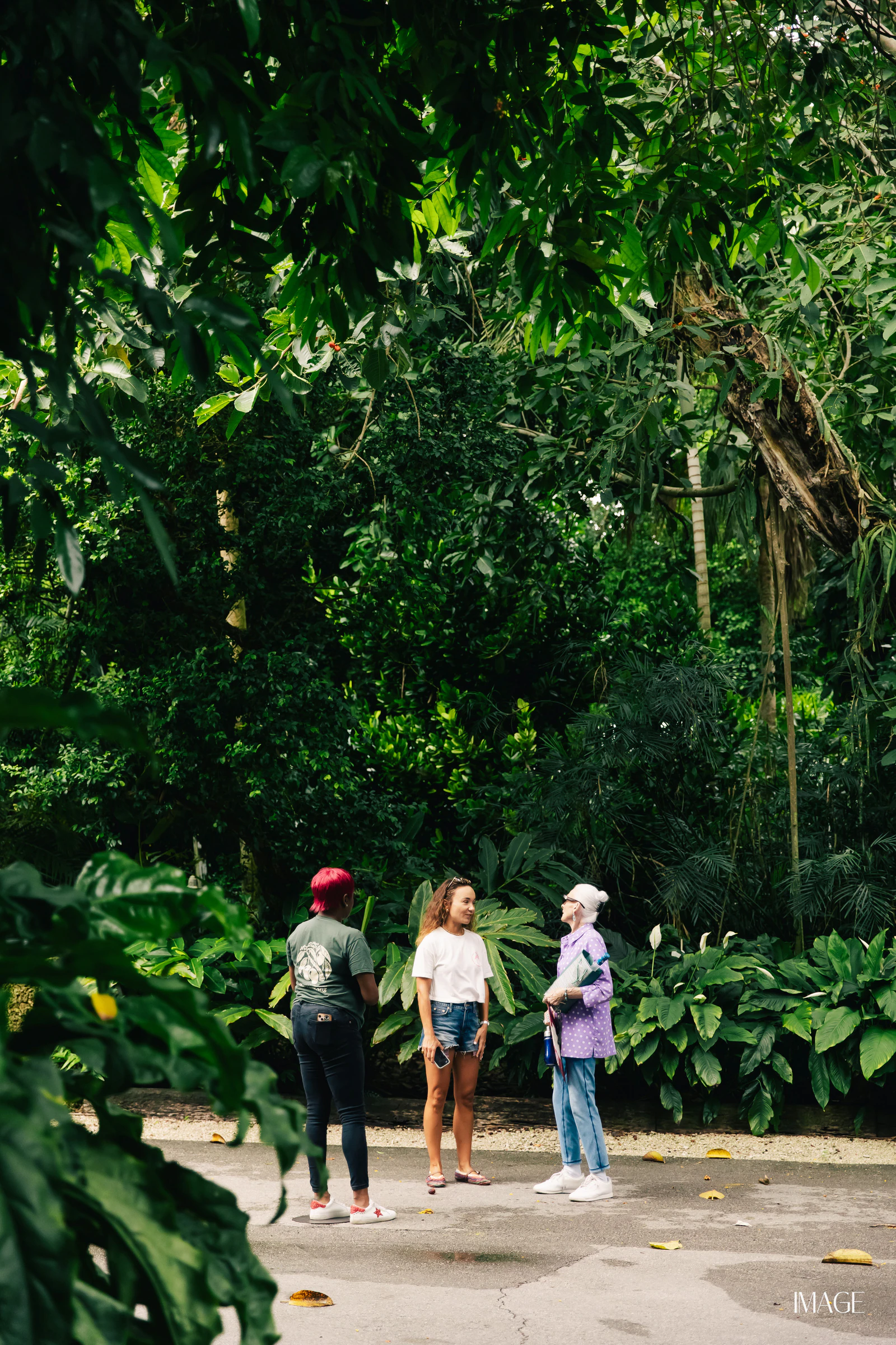 Impact Edition at The Kampong, Miami — Events photography by IMAGE MIAMI — photo 76 of 159