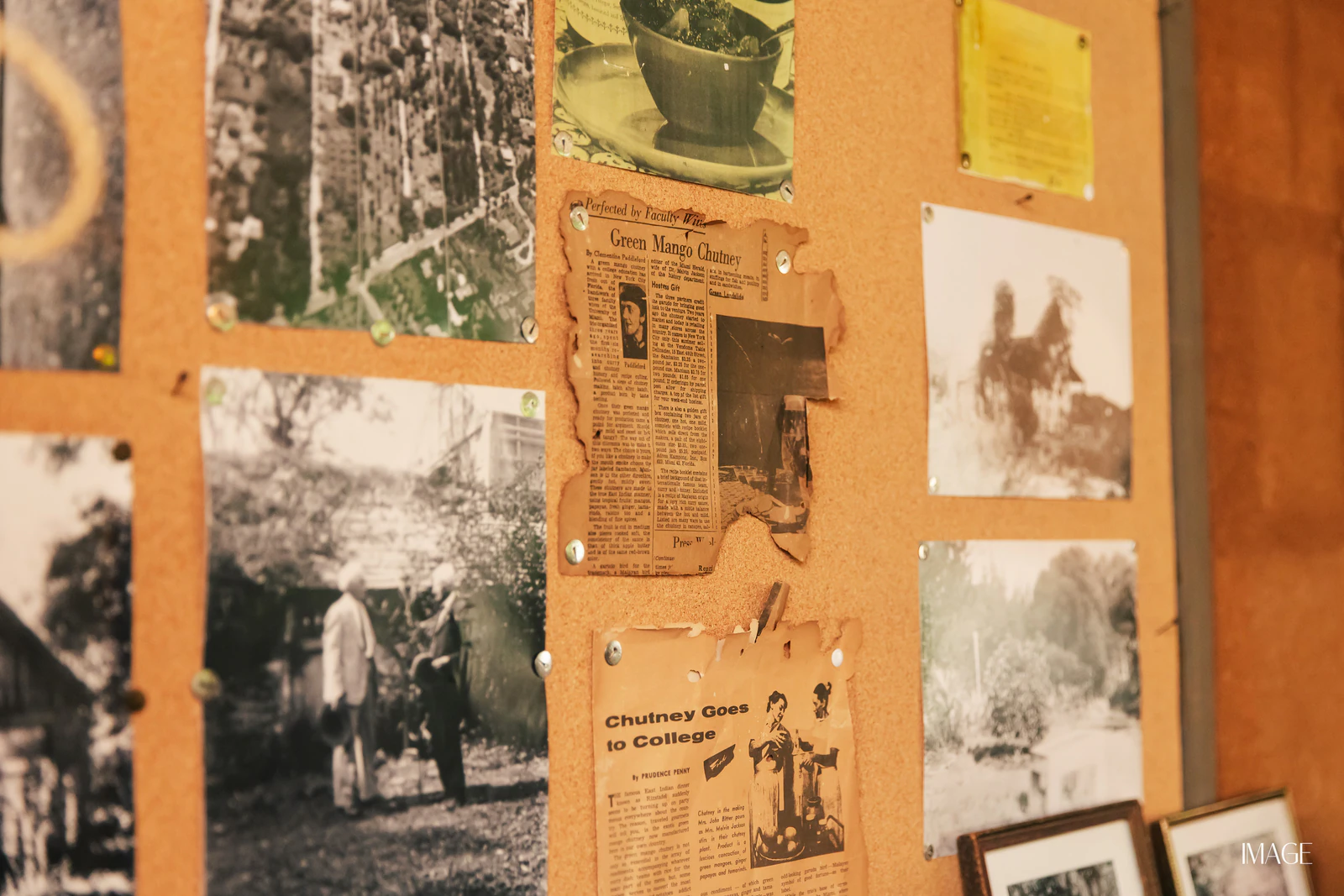Impact Edition at The Kampong, Miami — Events photography by IMAGE MIAMI — photo 157 of 159