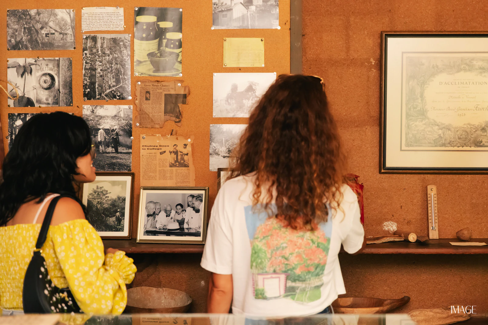 Impact Edition at The Kampong, Miami — Events photography by IMAGE MIAMI — photo 6 of 159
